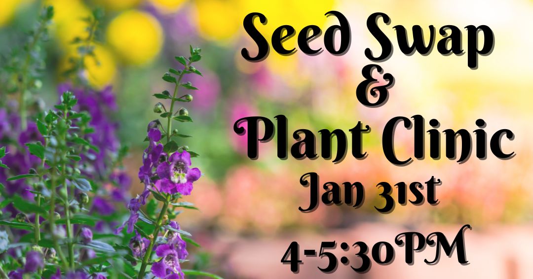 2026-01-31 Seep Swap.jpg