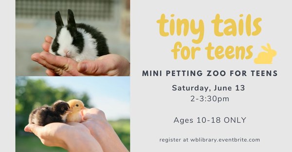 Tiny Tails for Teens left-side photos of hands holding a black and white bunny and a pair of baby chicks. yellow lettering reads "tiny tails for teens". Black text reads "Mini petting zoo for teens. Saturday, June 13, 2-3:30pm, Ages 10-18 only, register at wblibrary.eventbrite.com"