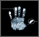 Handprint